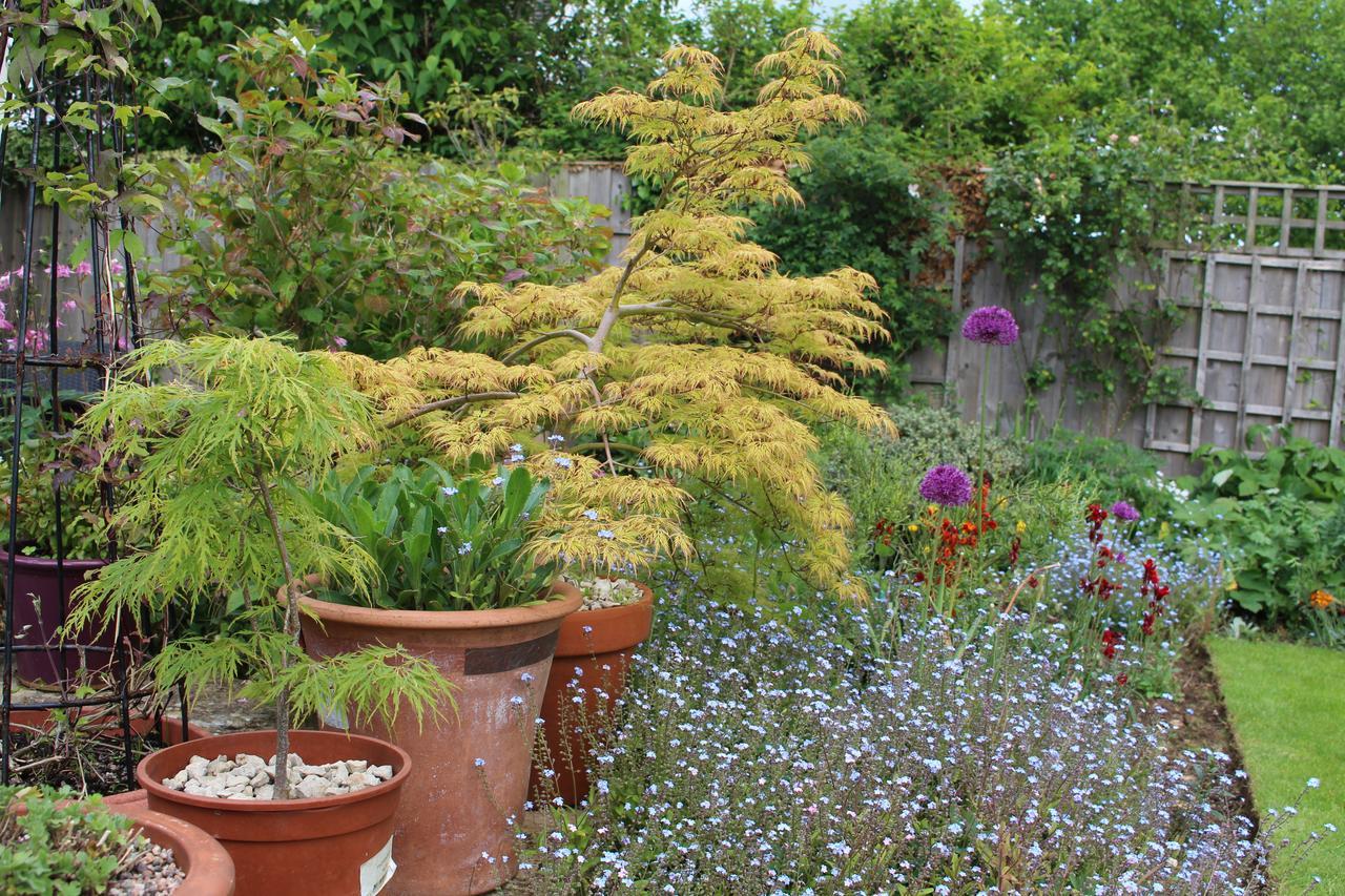 Laurels Guesthouse Witney Exterior photo